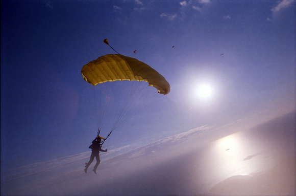 Canopy over Vrsar